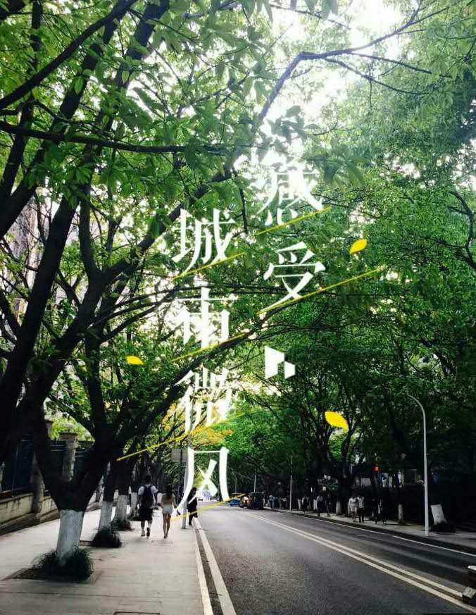 微信图片_20170506133953.jpg